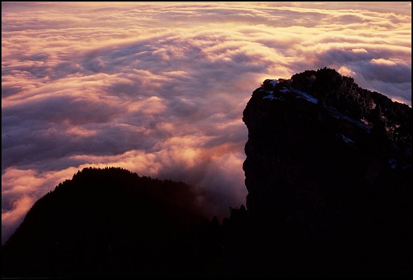 Photo : La petite sortie de la semaine : mer du nuages sous Chamechaude, en Chartreuse. Soleil radieux au dessus de 1500m, neige sur les arbres et verglas au sol en dessous... 
