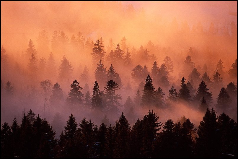 Photo : Un dtail sur le paysage de la semaine dernire, sous le sommet de Pravouta en Chartreuse : les nuages se retirent avec le coucher de soleil et les silhouettes des picas ressortent progressivement.D'autres images de cette sortie sont visibles ici, avec en particulier sur deux images une comparaison entre prise de vue numrique et argentique. 
