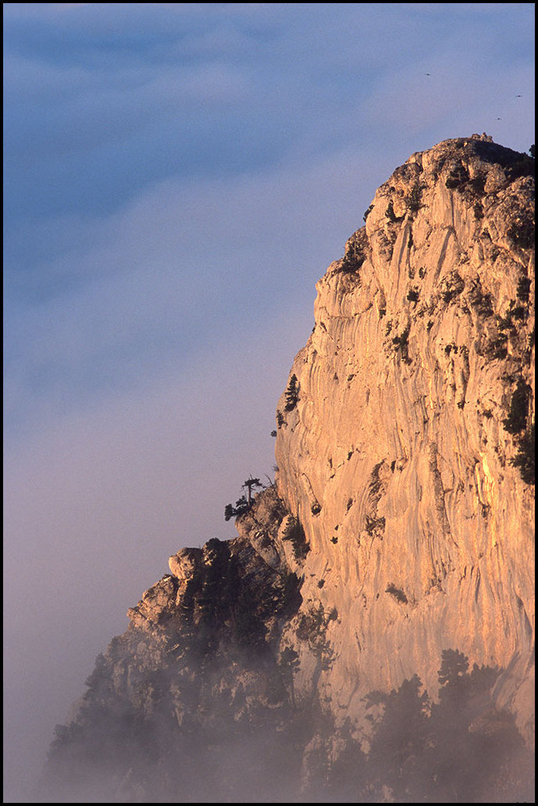 Photo : Prs du sommet du Moucherotte, dans le Vercors...une falaise merge d'une haute mer de nuages, quelques chocards volent au dessus. 
