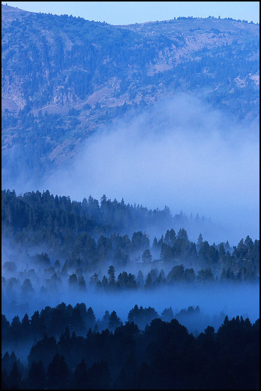 Photo : Les Hauts-Plateaux du Vercors recouverts de bancs de brumes...quelques rayons d'un soleil voil clairent le Glandasse. 
