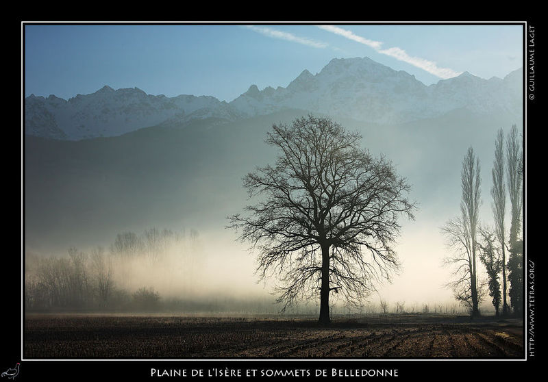 Photo : Toujours trs peu de montagne et de photos ces derniers temps...Voici quand mme une image prise dans la plaine grenobloise, dans les brumes des bords de l'Isre, avec les sommets de Belledonne en fond. 
