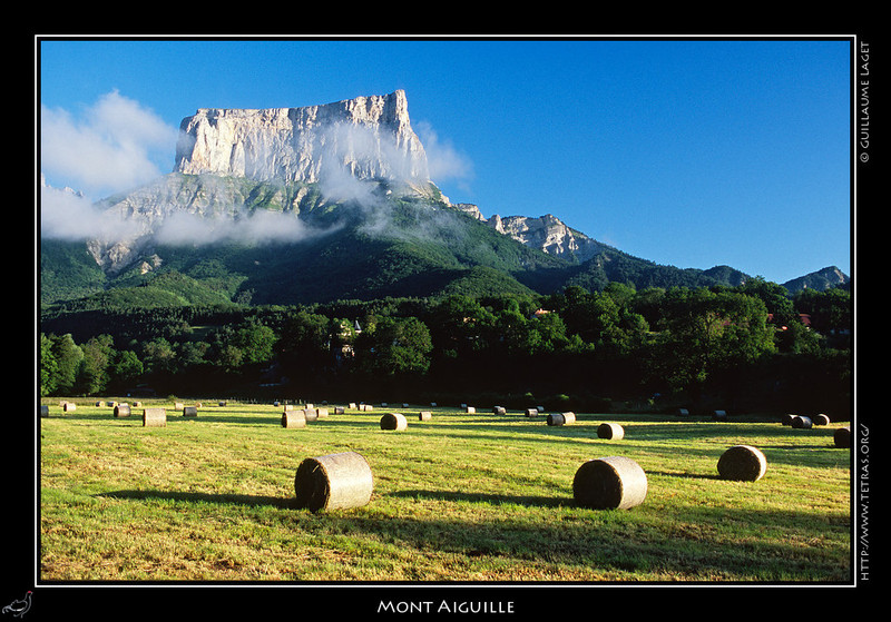 Photo : Le printemps devant le Mont Aiguille...cette image date de la fin du printemps dernier, et vous la retrouverez au milieu d'une dizaine d'autres dans le dossier 