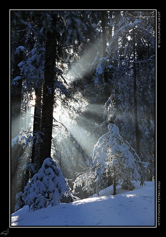 Photo : Outre un manque de temps et un souci informatique, le retard dans cette livraison hebdomadaire s'explique par la difficult  choisir...entre la fin de l'hiver et le printemps. Mais c'est finalement de la neige de Chartreuse, encore une fois, que je vous envoie... 
