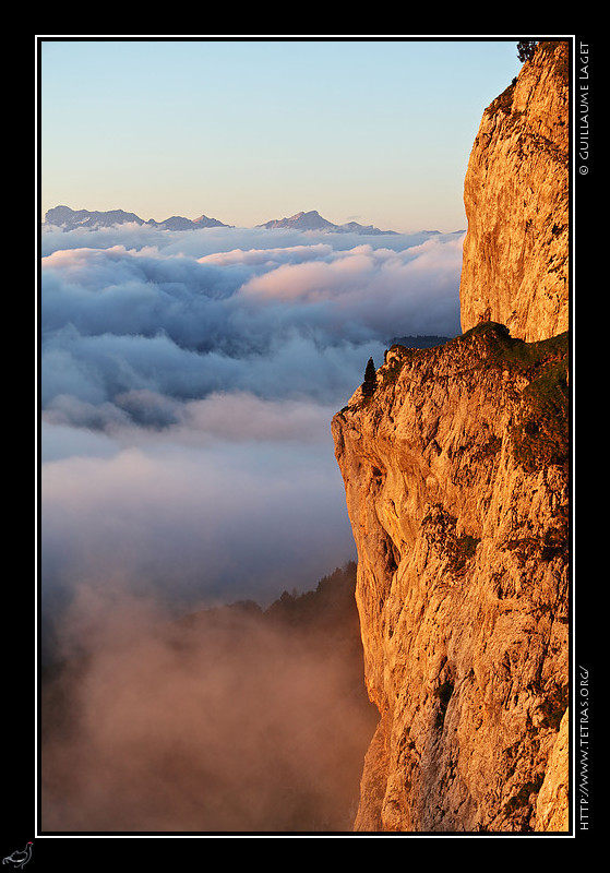 Photo : Aprs un chec-mto dimanche dernier, mardi matin je suis remont au pas Ernadant, dans le Vercors. Trente ou quarantes bouquetins et les pierres qu'ils lanaient dans ce couloir dlicat et encaiss m'ont fait faire demi-tour  la moiti de l'itinraire...non sans avoir profit des magnifiques conditions de brumes et de soleil (mais ce n'tait encore rien en comparaison des couleurs et ambiances de ce dimanche matin... suivre !) 
