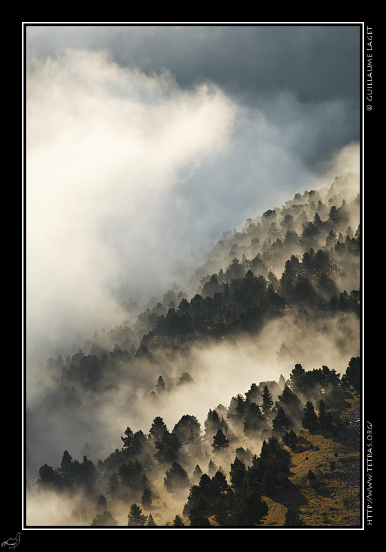 Photo : Mme si l'air est encore assez chaud et instable, l'automne, et ses mers de nuages, taient bien de retour pendant quelques jours.  Voici les pentes de la Montagnette, dans le Vercors, recouvertes de brumes. 
