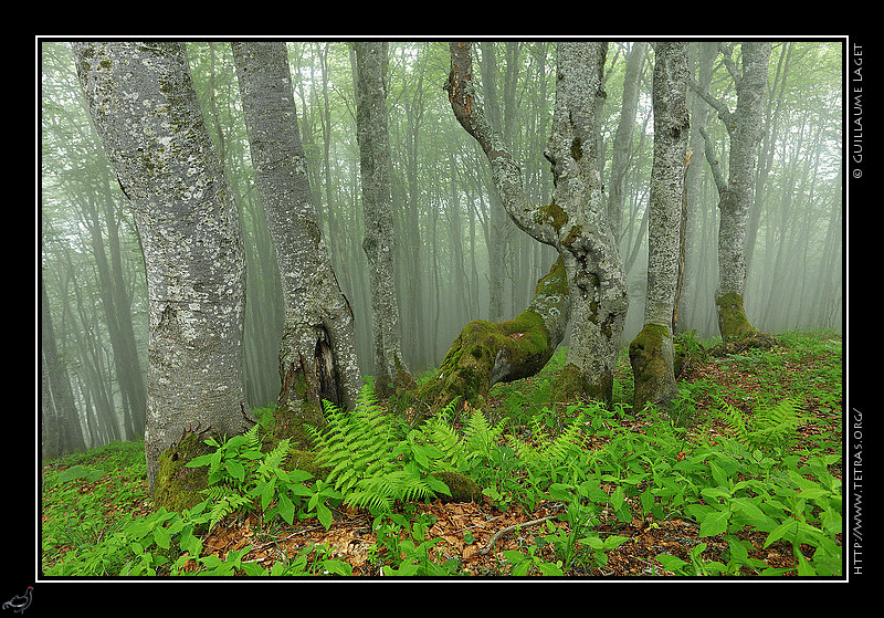 Photo : Une photo d'ambiance, typiquement 