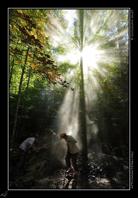 Photo : Aprs quinze jours de cuisson, la charbonnire est ouverte et le charbon de bois sorti. La lumire et les fumes font bon mnage dans ce sous-bois... 
