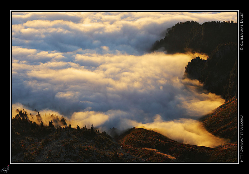 Photo : Vue depuis le nord de Belledonne, la mer de nuages au dessus de la Maurienne se colore sous les premiers rayons. 
