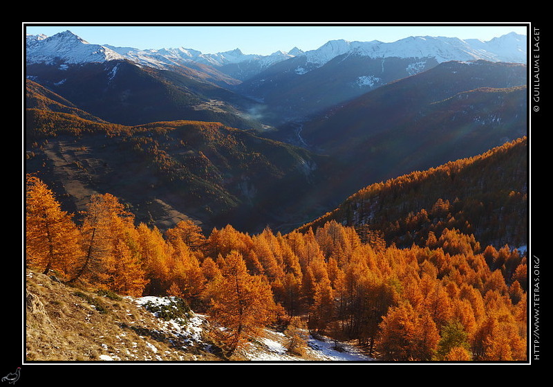 Photo : Mlzes dors et premires neiges sur la valle du Guil, Queyras 
