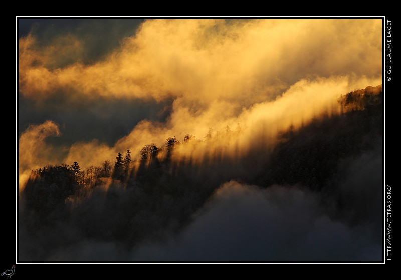 Photo : Brumes sur le versant oriental du Vercors, au lever de soleil ! 
