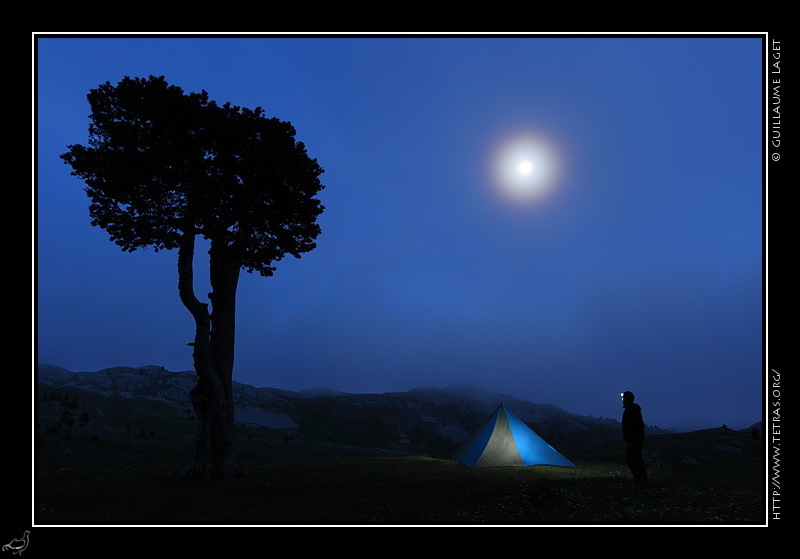 Photo : Une nuit sur les Hauts-Plateaux du Vercors...l'arbre taill de la plaine de la Queyrie, les brumes et la lune 
