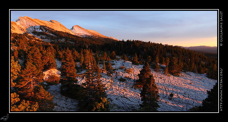 Photo : Lapiaz sur les Hauts-Plateaux du Vercors 
