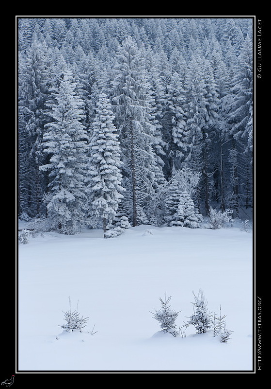 Photo : Neige vers le Marais, entre Saint-Martin-d'Uriage et Chamrousse. 
