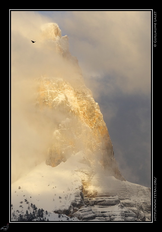 Photo : Mont Aiguille et chocard 
