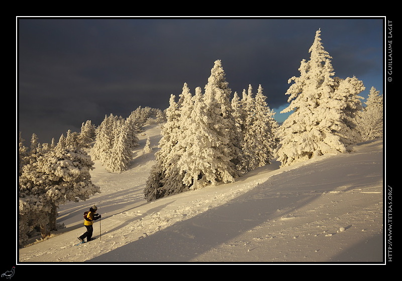 Photo : Sommet du Moucherotte, Vercors 
