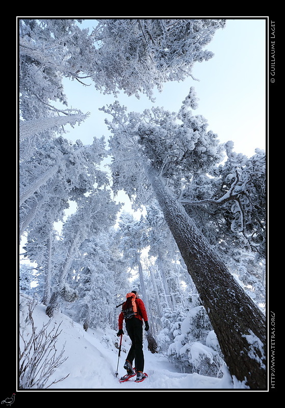 Photo : En route vers le Moucherotte, Vercors 
