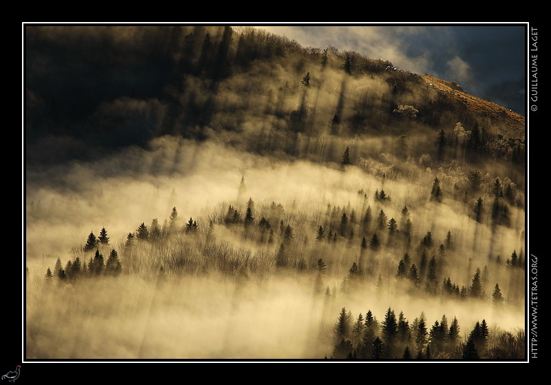 Photo : Brumes sous le Pic Saint-Michel, Vercors 
