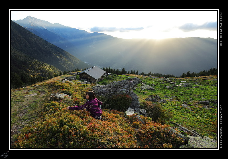 Photo : Coucher de soleil et myrtilles 
