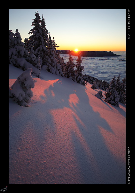 Photo : Sur les pentes de Chamechaude 
