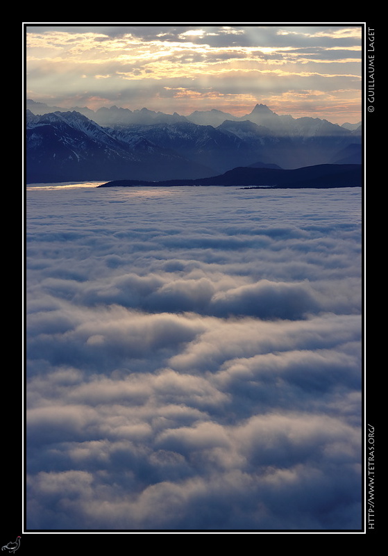 Photo : Les crins et la mer 
