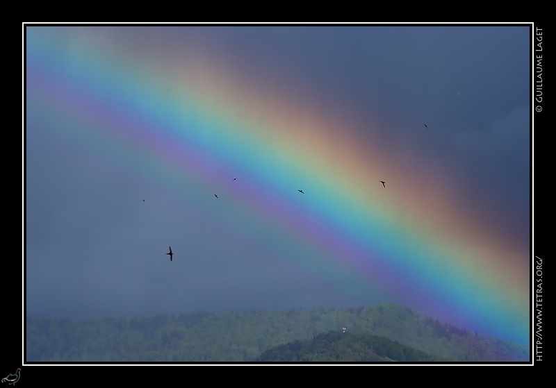 Photo : Arc-en-ciel 
