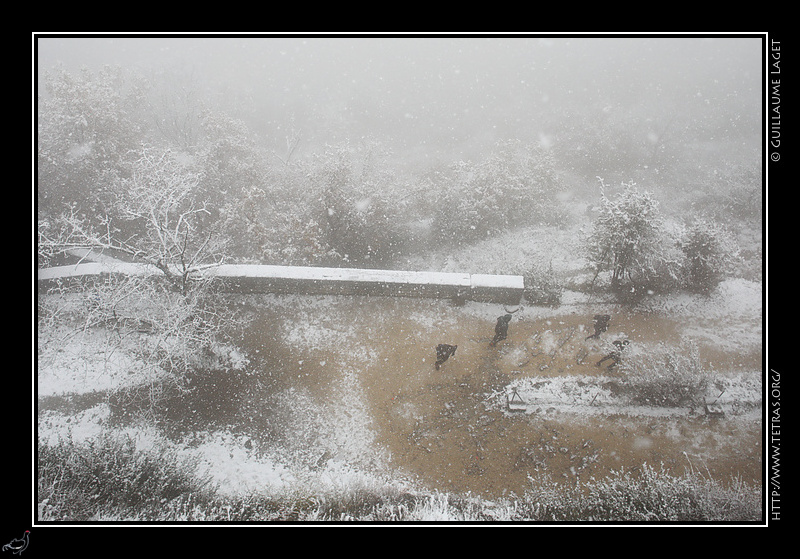 Photo : Monte  la Bastille sous la neige 
