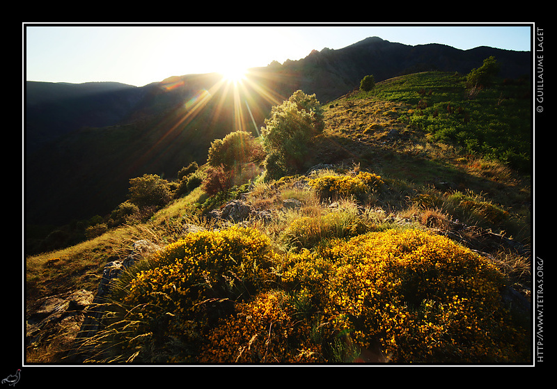 Photo : Genets et sentier des 4000 marches, Valleraugue, Mont Aigoual 
