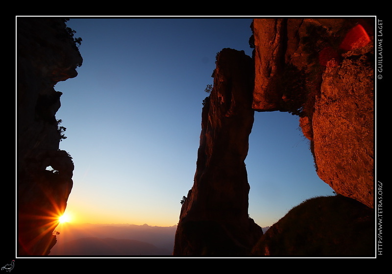 Photo : Arche Miracle, Chartreuse 
