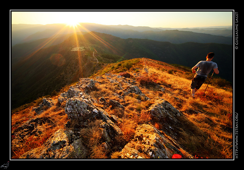 Photo : Cvennes : crtes de Bonperrier  l'Aigoual 
