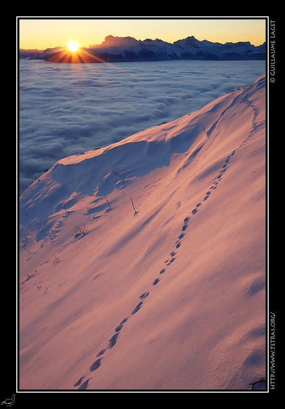 Photo : Lever en douceur, traces de livre sur la neige 
