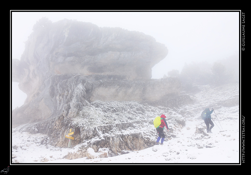 Photo : Ambiance nordique dans la monte  Chamechaude dimanche dernier 
