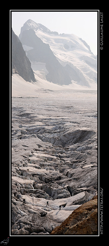 Photo : Du Glacier Blanc  la Barre des crins 

