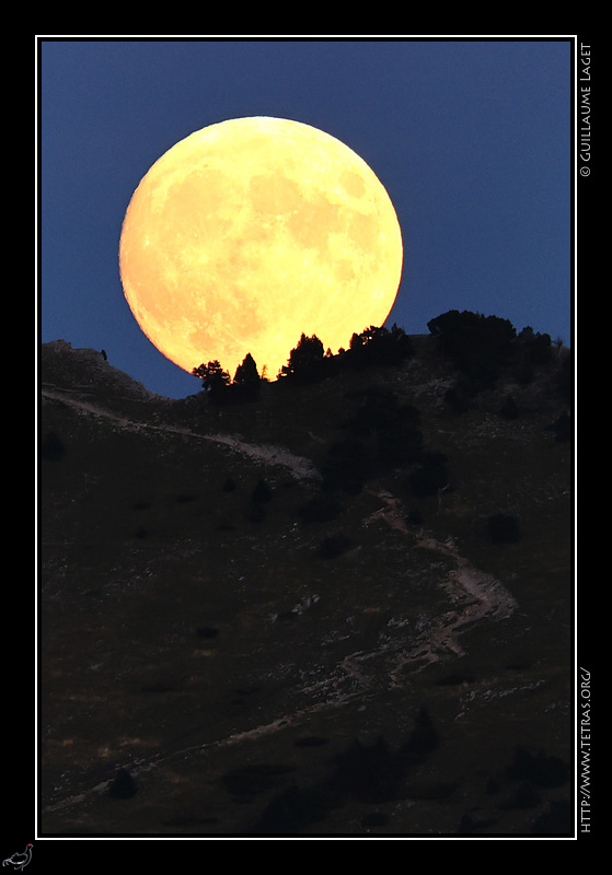 Photo : Le chemin vers la lune 
