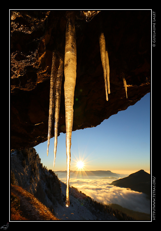 Photo : Stalactites en Chartreuse 
