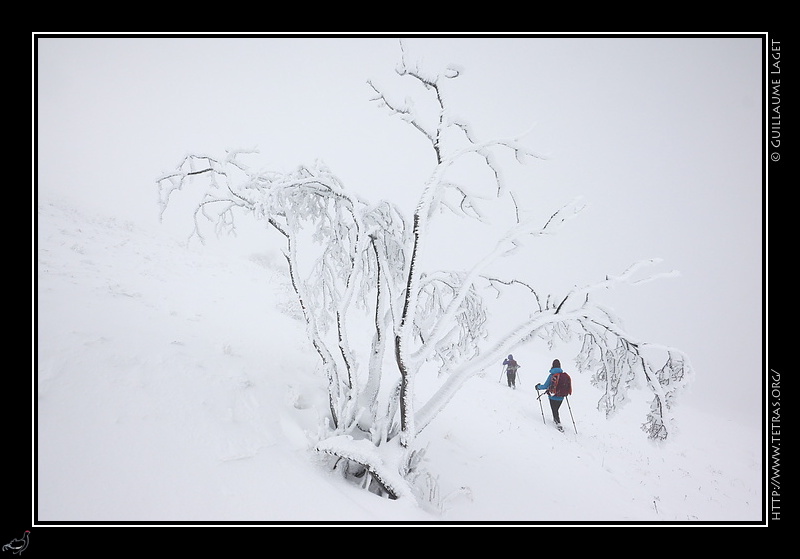 Photo : Dans le blanc 
