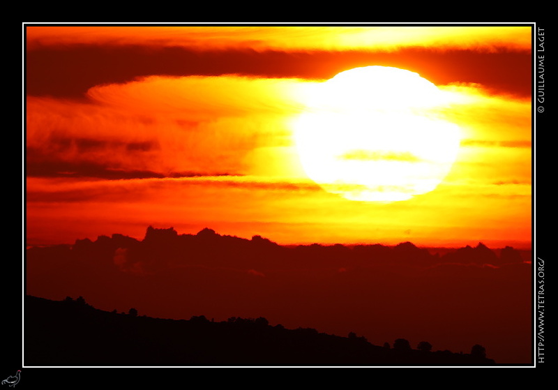 Photo : La Meije depuis les Cvennes 
