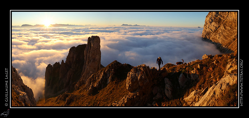 Photo : Bouquetin et Pas de l'Oeille 
