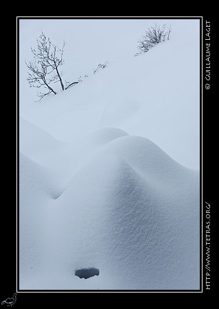 - G.Laget - http://www.tetras.org