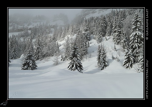 - G.Laget - http://www.tetras.org