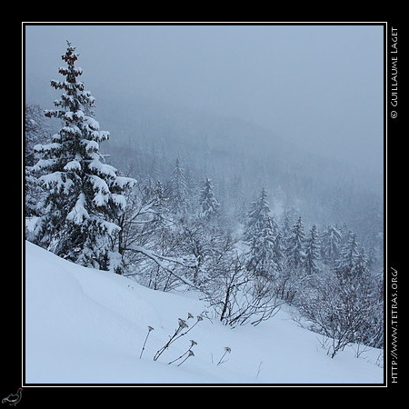 - G.Laget - http://www.tetras.org
